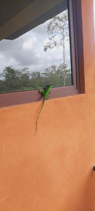 Green Leaf House La Fortuna Dış mekan fotoğraf